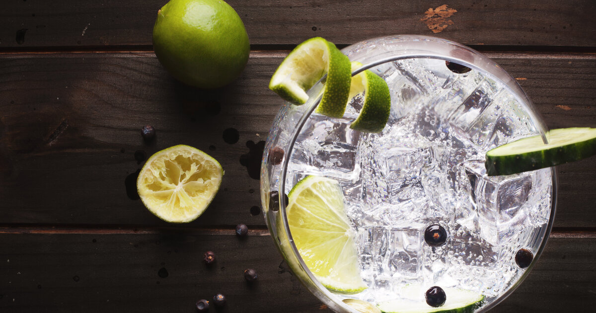 Gin och Tonic recept Cocktailia.se