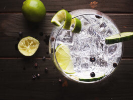 Gin och Tonic drink-recept