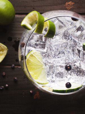 Gin och Tonic drink-recept