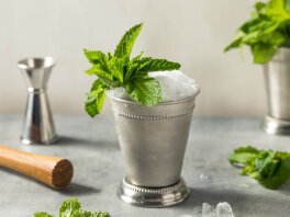 Gin Julep drink-recept