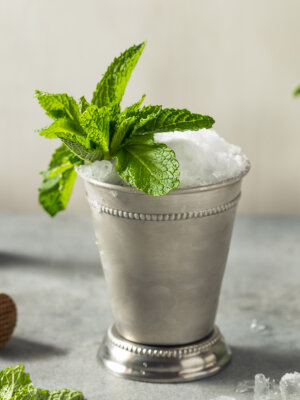 Gin Julep drink-recept