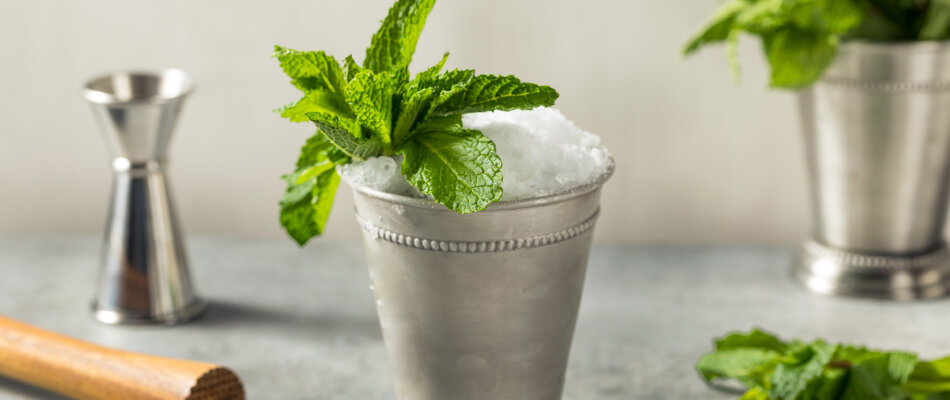 Gin Julep drink-recept
