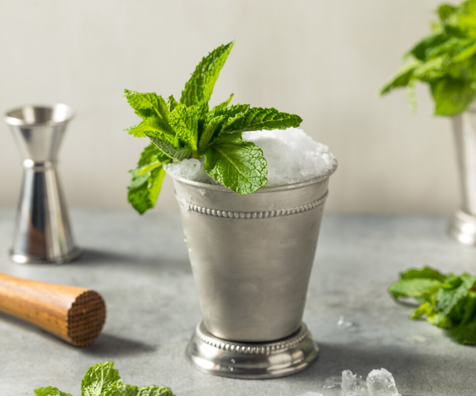 Gin Julep drink-recept