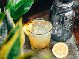 Pisco Punch recept